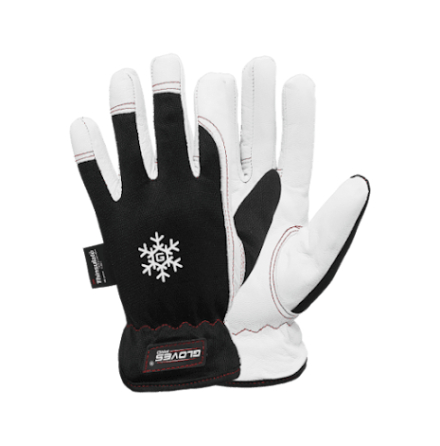 Gloves Pro Dex 10 5654