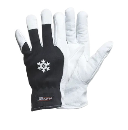 Gloves Pro Dex 12 5659